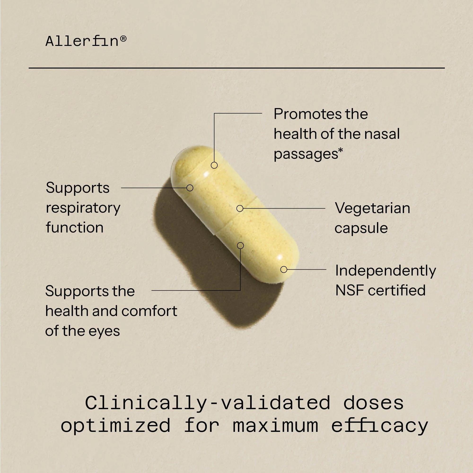 ALLERFIN - Premium Sinuses Relief Supplement – Helps Support Sinus, Nasal, Lung, Seasonal & Allergy Relief - Includes Bromelain, Quercetin, Stinging Nettle & Allerinol – 60 Vegetable Capsules