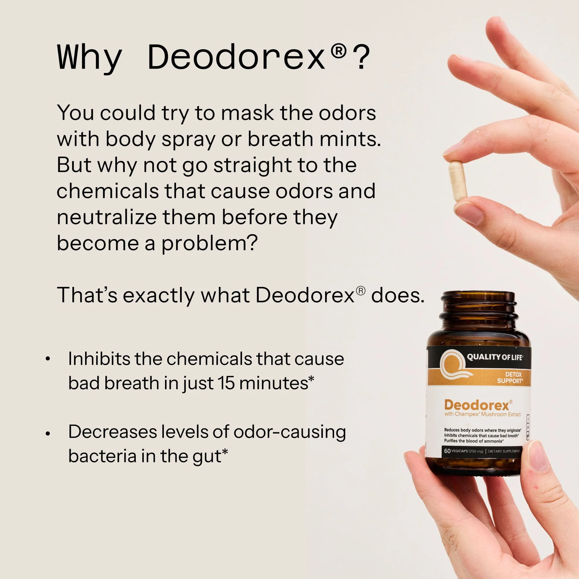 DEODOREX 60 CT, Detox Support with Champex, Mushroom Extract, 60 Vegicaps (250 mg per Capsule)