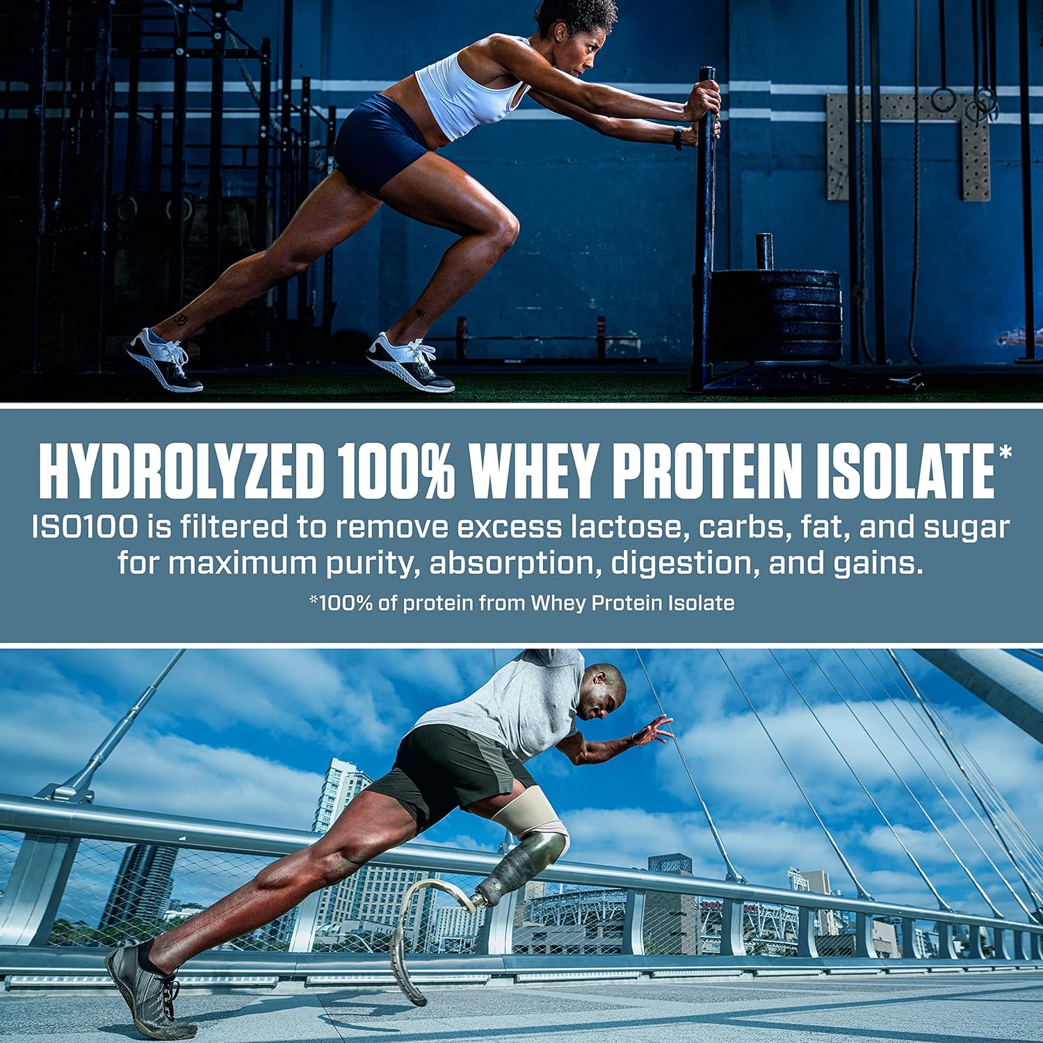 Dymatize Protein Powder 100% isolate 71 Serving chocolate