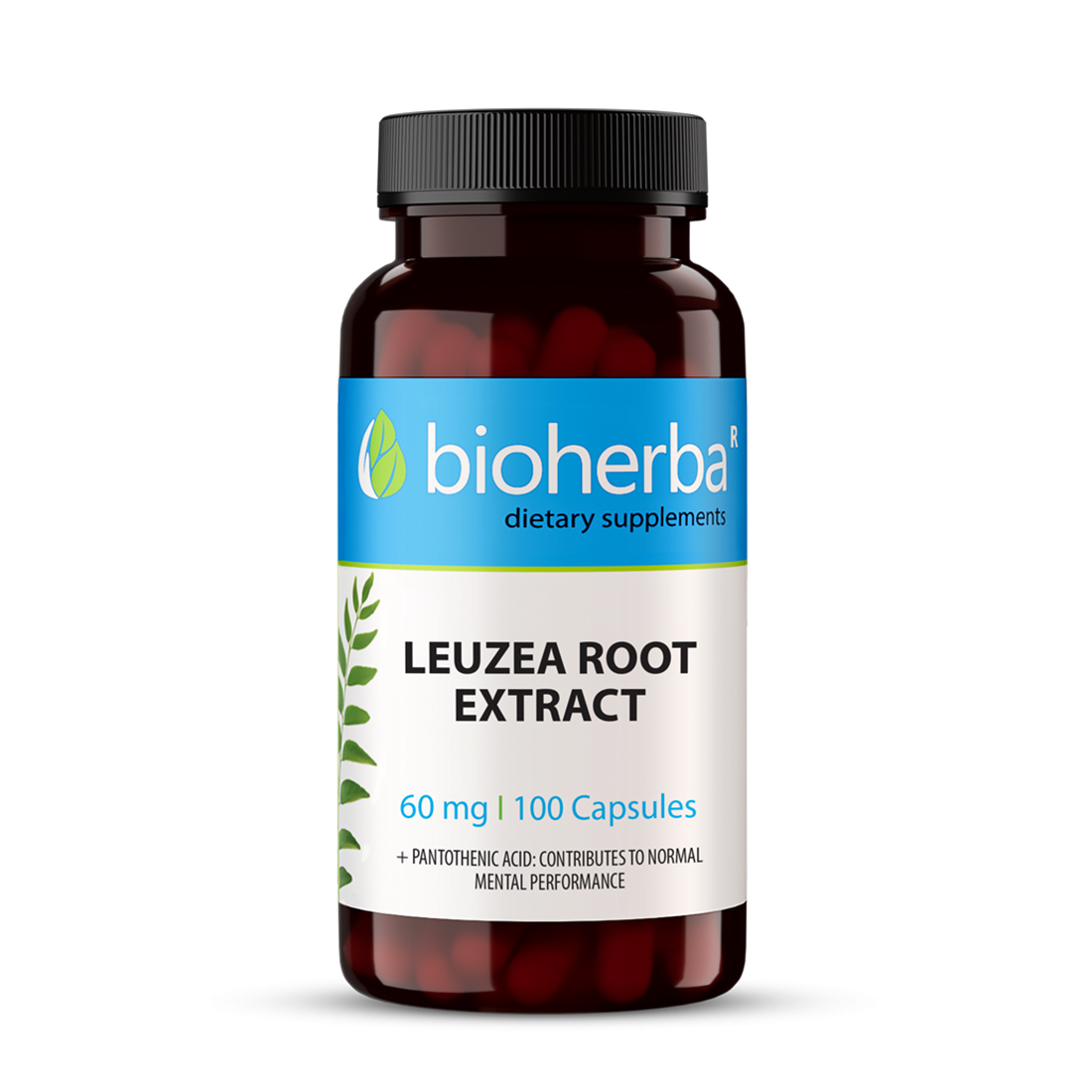 Leuzea Root Extract, 60Mg, 100 Capsules,Dietary supplement with Plant Extract and Pantothenic Acid. 